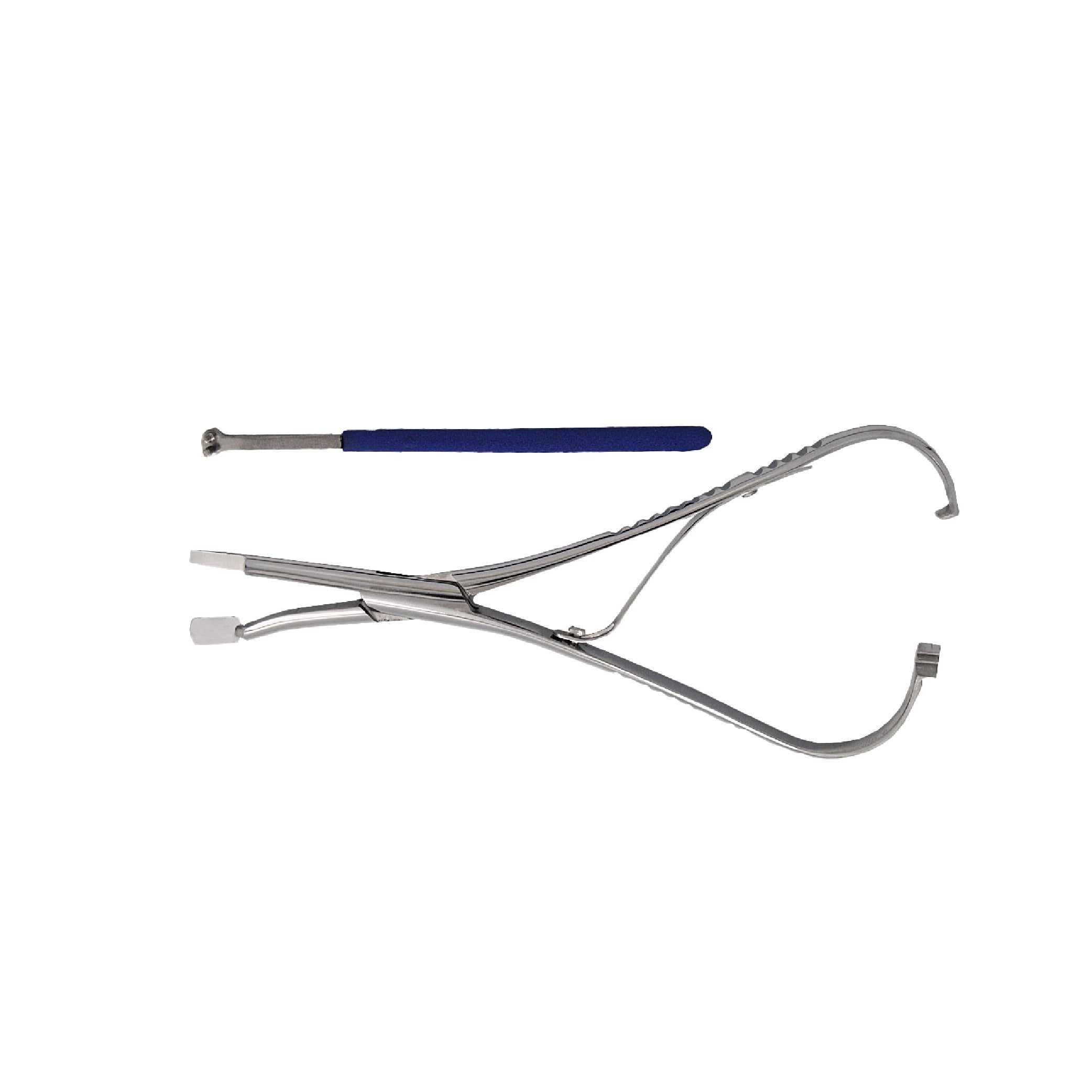 Pince de montage pour branche flexible